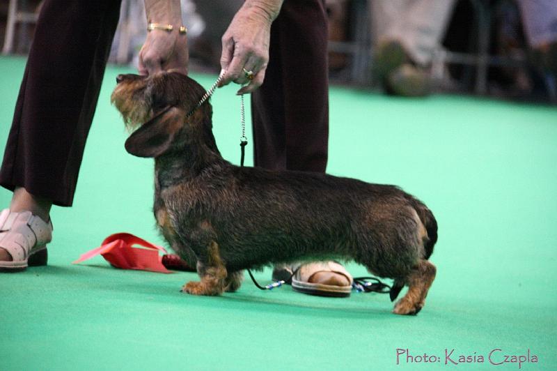 Crufts2011_2 1640.jpg